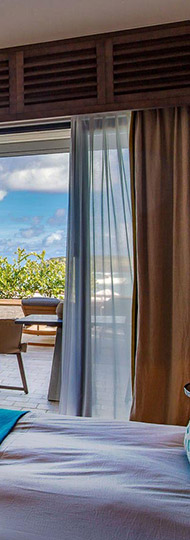 Luxury Hotel in St Barths right