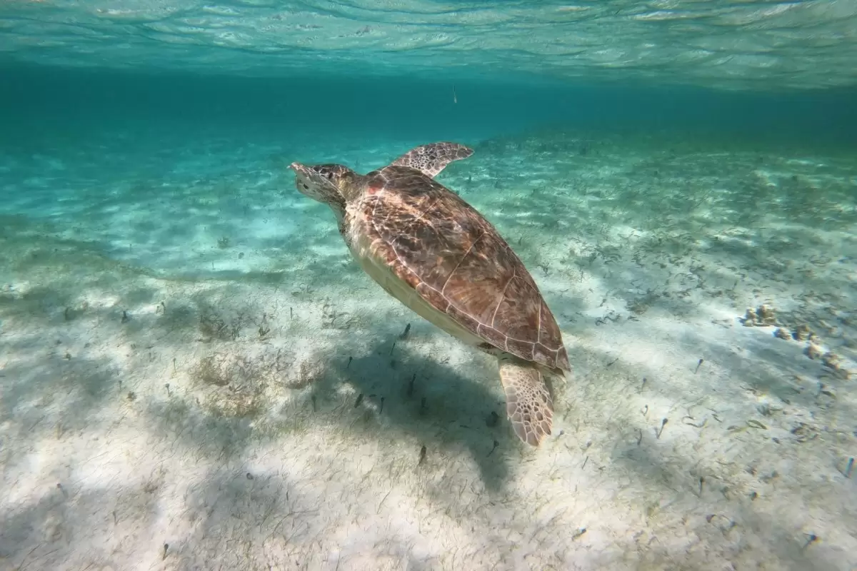 Le Barthélemy Hotel & Spa Hotel St Barts