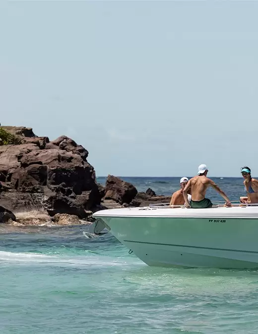 Balades en Mer Ensoleillées