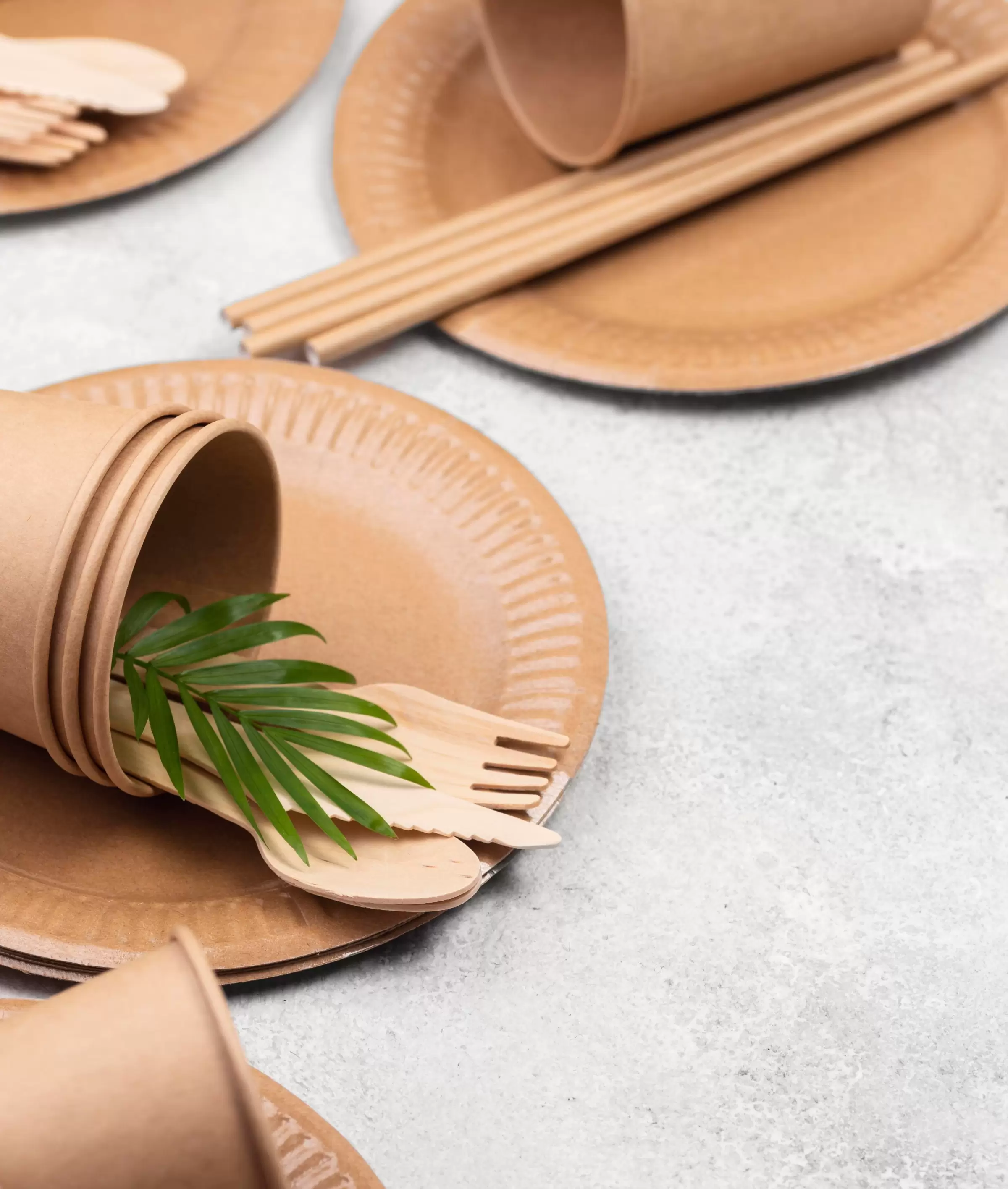 Ecological To-Go Packaging